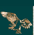 WMA Logo