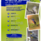 Birding Class Flyer